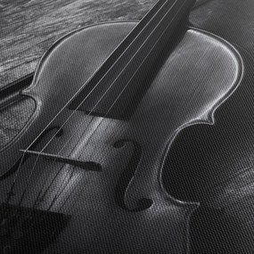 Obraz - Viola (s hodinami) (90x30 cm)