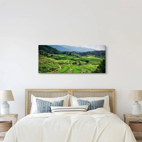 Obraz ryžových polí (120x50 cm)