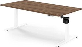 Elektrický stôl s nastaviteľnou výškou ergonomický biely/orech,1600x800 mm: ARIA