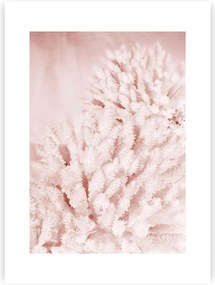 Plagát Pastel Pink II