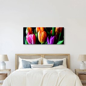 Obraz tulipánov na čiernom pozadí (120x50 cm)