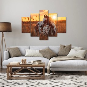 Obraz - Kôň pri západe slnka (150x105 cm)