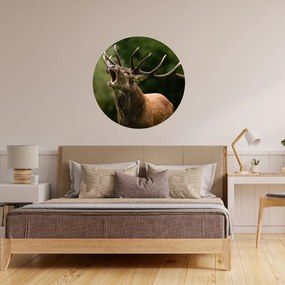 100x100cm Jeleň 2 - textilná nálepka na stenu Veľkosť: 100 cm