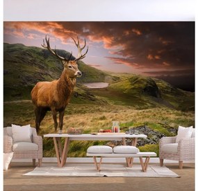 Artgeist Fototapeta - Deer on Hill Veľkosť: 147x105, Verzia: Samolepiaca