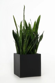Kvetináč BLOCK, sklolaminát, 30x30x30 cm, antracit