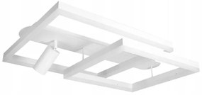 LED Stropné svietidlo LED/38W/230V + 1xGU10/30W biela