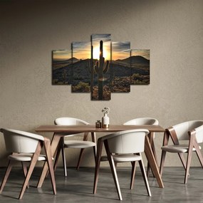 Obraz - kaktusy v slnku (150x105 cm)