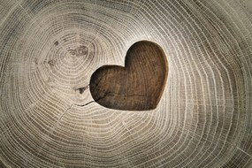 Tapeta symbol lásky na dreve