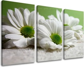 Obraz na stenu 3 dielny KVETY XOBKV111E30 - 60x40 cm