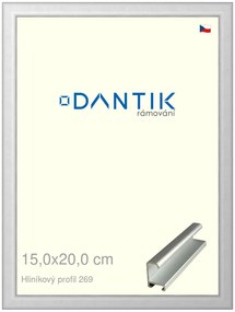 DANTIK rám na obraz 15x20 | ALU Stříbrná matná (Sklo Čiré)