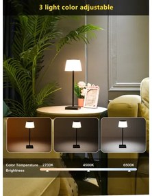 Immax 08492L - LED Stmievateľná vonkajšia solárna lampa LED/4W/5V IP44