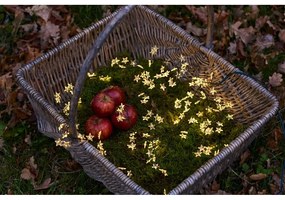 Svetelná LED reťaz Sirius Trille Green, dĺžka 200 cm