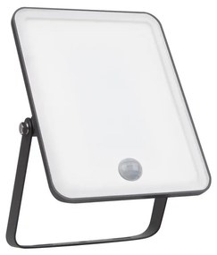 Ledvance - LED Vonkajší reflektor so senzorom FLOODLIGHT LED/30W/230V 6500K IP65 P225315