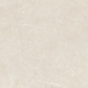 Dlažba Tessino Ivory Pulido 120x120 R