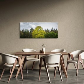 Obraz zeleného stromu uprostred poľa (120x50 cm)
