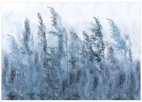 Artgeist Fototapeta - Tall Grasses - Grey Veľkosť: 200x140, Verzia: Premium