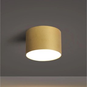 BRILAGI - Kúpeľňové stropné svietidlo FORIS LED/9W/230V pr. 9 cm zlaté IP44