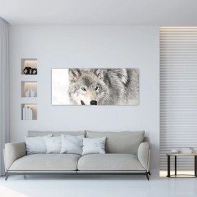 Obraz - Vlk v prírode (120x50 cm)