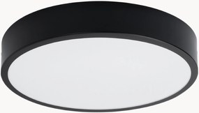 Stropné LED svietidlo Franco, rôzne veľkosti