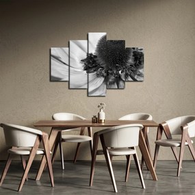 Obraz - Kvetina v čiernobielej (150x105 cm)