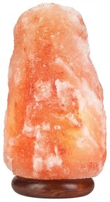 Soľná lampa SALLY 1xE14/25W/230V