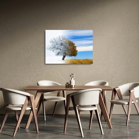 Sklenený obraz - Zmena ročného obdobia (70x50 cm)