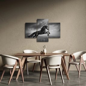 Obraz - Kôň čiernobiely (90x60 cm)