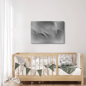 Obraz - Kvapka na kvete, čiernobiela (90x60 cm)
