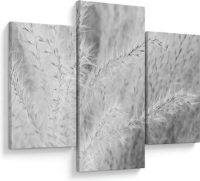 Obraz - Pampas grass N⁰1 (90x60 cm)