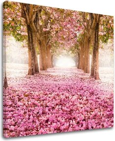 Obraz na stenu STROMY ST008E12