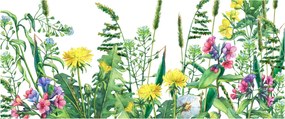 Obraz - Maľované lúčne kvety (120x50 cm)