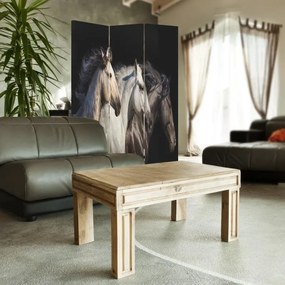 Gario Paraván Tri kone Rozmery: 110 x 170 cm, Prevedenie: Otočný paraván 360°