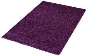 Koberce Breno Kusový koberec DREAM SHAGGY 4000 Lila, fialová,160 x 230 cm