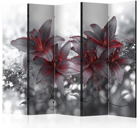 Artgeist Paraván - Shadow of Passion II [Room Dividers]
