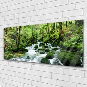 Obraz plexi Les potok vodopády rieka 125x50 cm