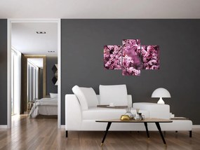 Obraz - Ružová sakura (90x60 cm)