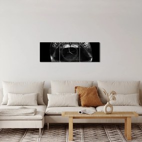 Obraz - Lesklé pery (s hodinami) (90x30 cm)