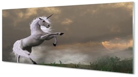 Obraz na akrylátovom skle Unicorn top 120x60 cm