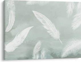 Obraz - Biele pierka (70x50 cm)