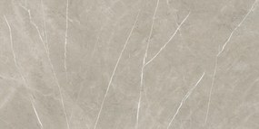 Dlažba Eternal Taupe Pulido 80x160 R