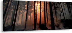 Obraz temného lesa (120x50 cm)