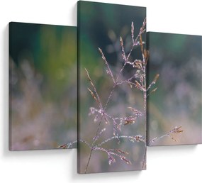 Obraz - Detail traviny (90x60 cm)