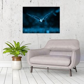 Sklenený obraz letiacej sovy (70x50 cm)