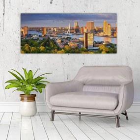 Obraz - Panorama Rotterdamu, Holandsko (120x50 cm)