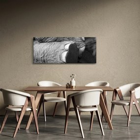 Obraz - Slonia noha (120x50 cm)