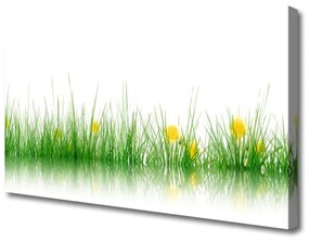 Obraz Canvas Príroda tráva kvety 100x50 cm
