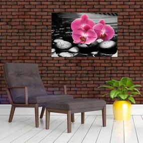 Obraz - Ružové orchidey (90x60 cm)