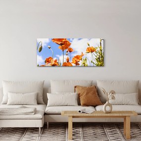Obraz vlčích makov (120x50 cm)