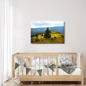 Obraz - Horská lúka (90x60 cm)