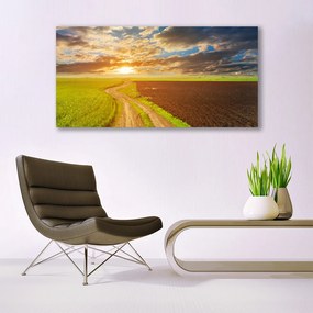 Obraz plexi Pole nebo slnko príroda 120x60 cm
